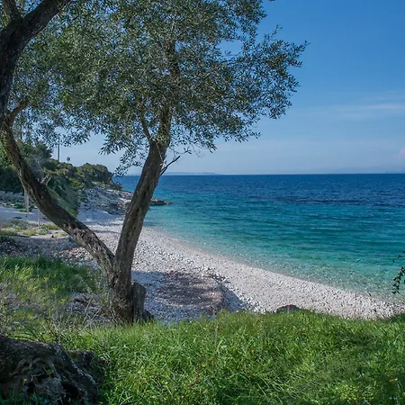 Anassa Mare & Residences アパートホテル ガイオス