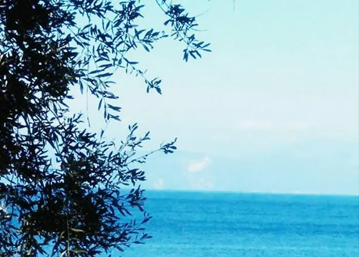 Anassa Mare & Residences מלון דירות גאיוס